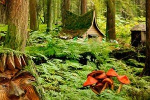 The Enchanted Forest Is Found In Revelstoke British Columbia