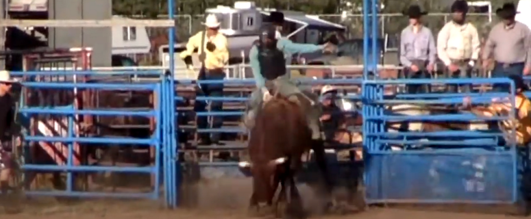 a bull rider comes out of the chute