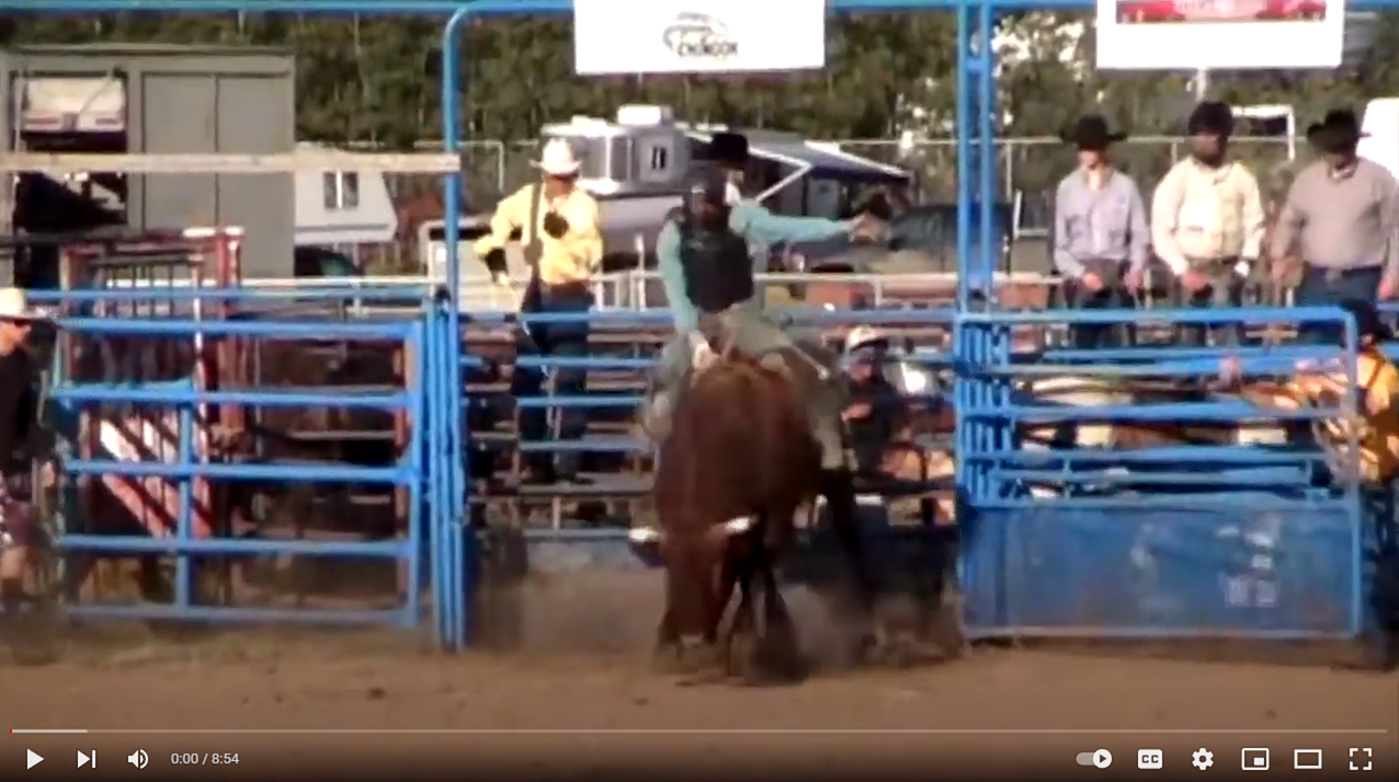 a bull rider comes out of the chute