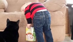 Learned From Kids - Little Boy Pouting With Black Cat