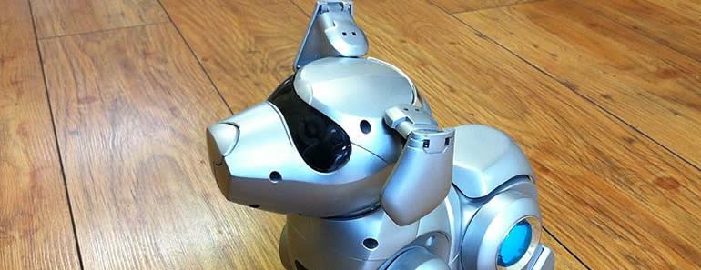 Tekno the Robotic Puppy