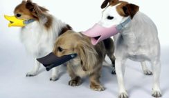 Oppo Dog Muzzle