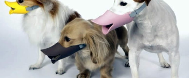 Oppo Dog Muzzle