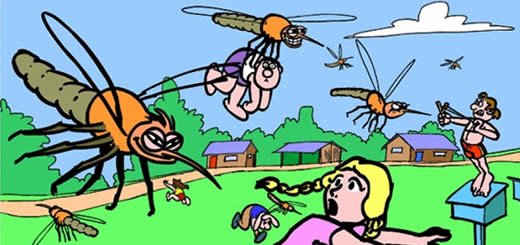 Practical Science Mosquitoe