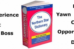 Honest Dictionary Tells It Like It Is