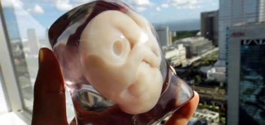 3D Model Of Unborn Baby