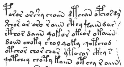 The Voynich Manuscript words