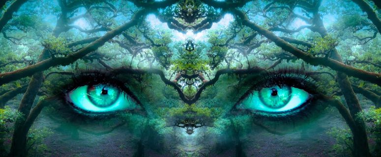 Spirituality Dreams Eyes In Forrest