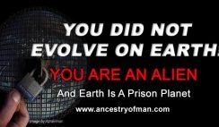 Alien Human Origin Ancestry Of Man Prison Planet