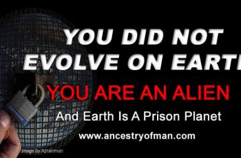 Alien Human Origin Ancestry Of Man Prison Planet