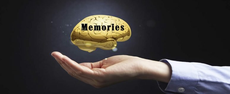 Memories Open Hand With Gold Brain