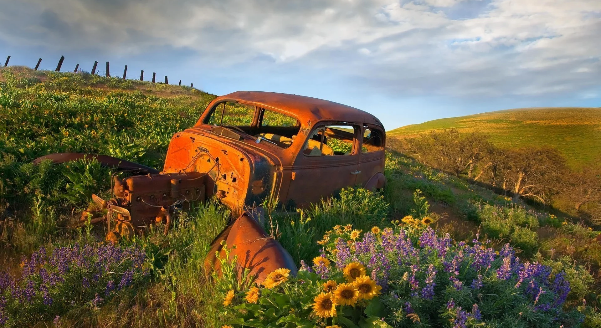 old abandoned car in field